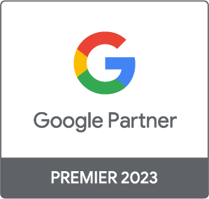 Consultor Google Ads Partner Madrid